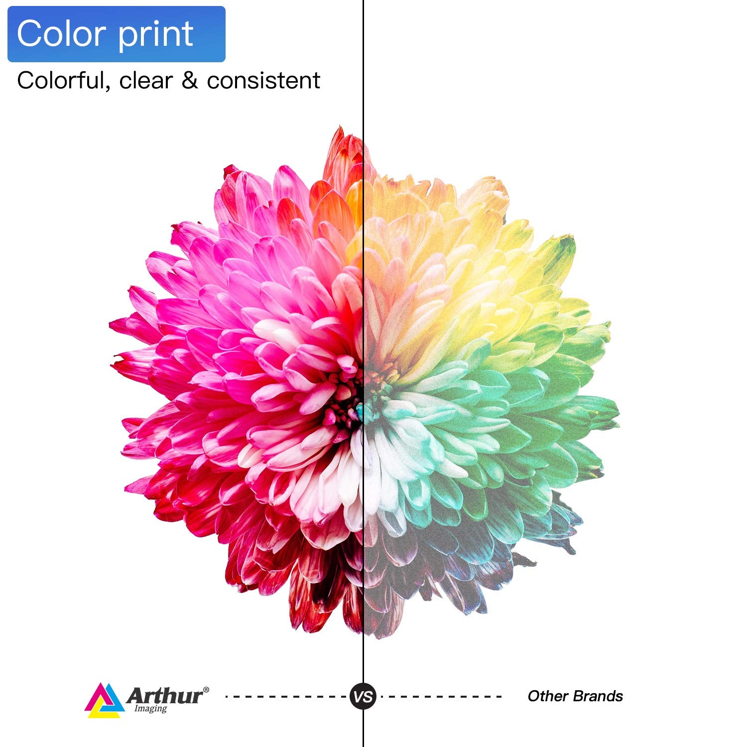 Arthur Imaging Compatible Ink Cartridge Replacement for 251XL (3 Black, 3 Cyan, 3 Yellow, 3 Magenta, 12-Pack)