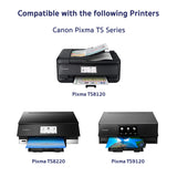 Arthur Imaging Compatible Ink Cartridge Replacement for Canon PGI-280XXL use with PIXMA TS9120 TS8120 TS8220 (PGBK) 2 Pack