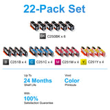 Arthur Imaging Compatible Ink Cartridge Replacement for Canon PGI-250XL CLI-251XL (6 Large Black, 4 Small Black, 4 Cyan, 4 Yellow, 4 Magenta, 22-Pack)