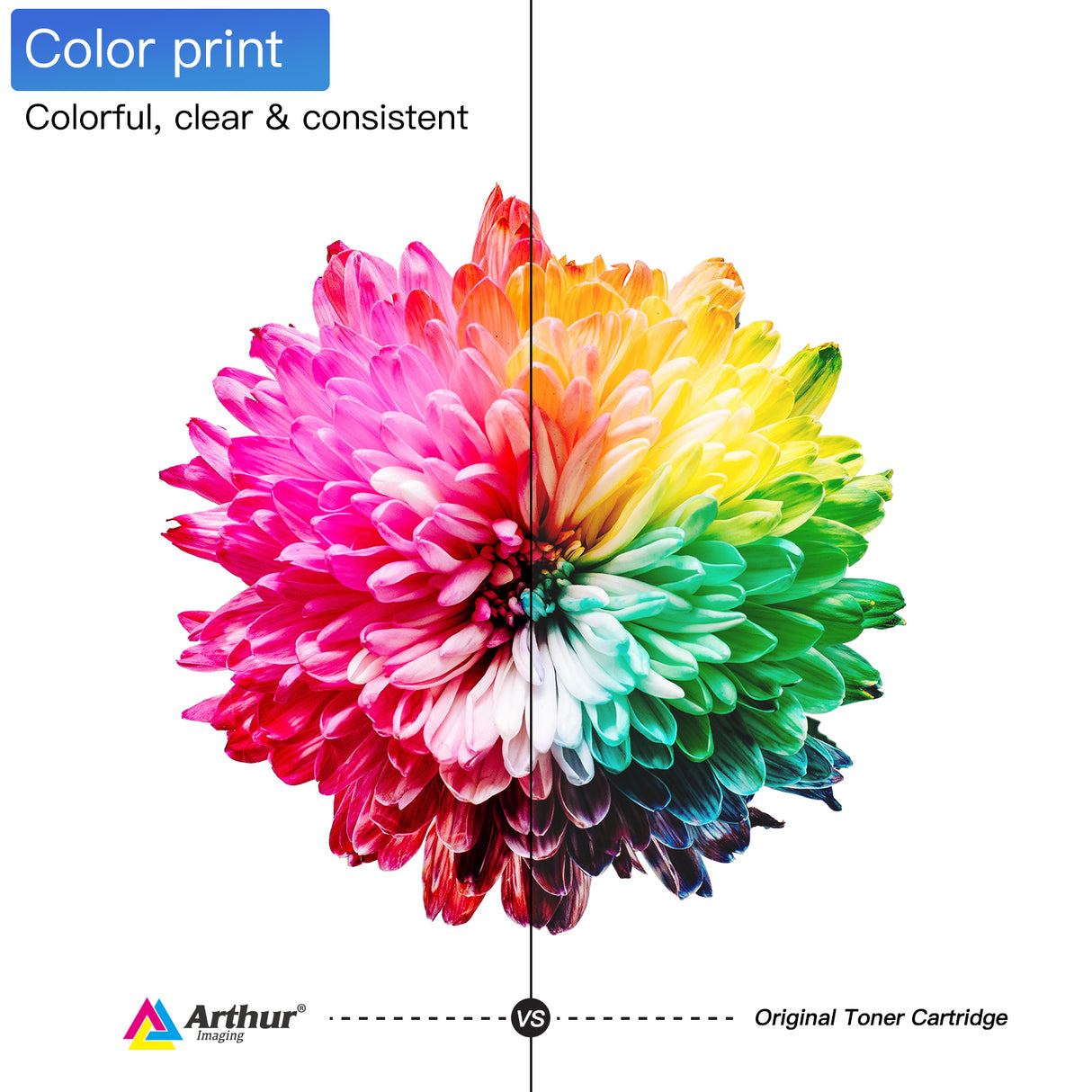 Arthur Imaging Compatible Ink Cartridge Replacement for Canon PGI-250XL CLI-251XL (6 Large Black, 4 Small Black, 4 Cyan, 4 Yellow, 4 Magenta, 22-Pack)